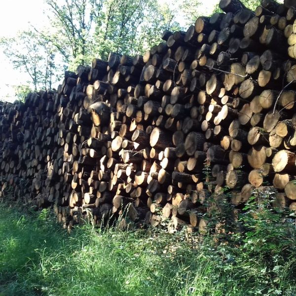 site internet pour revendeur de combustible bois dans l'Allier