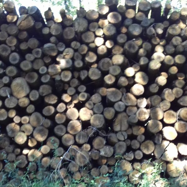 site internet pour revendeur de combustible bois dans l'Ariège
