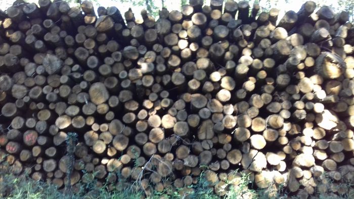 bois de chauffage 13site internet pour revendeur de combustible bois dans les Bouches-du-Rhône