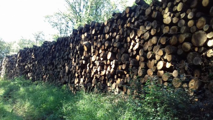 bois de chauffage Charente