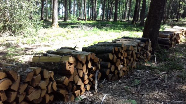 bois de chauffage 34Site internet pour revendeur de combustible bois dans la Haute-Marne