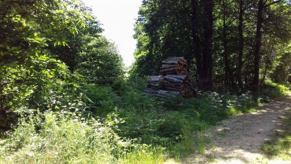 Site internet pour revendeur de combustible bois dans la Meurthe-et-Moselle