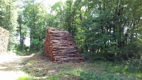 bois de chauffage 15Site internet pour revendeur de combustible bois dans le Haut-Rhin