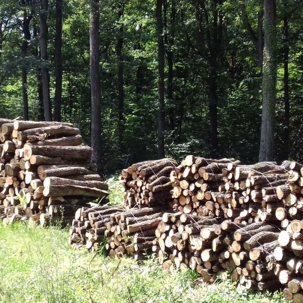 Site internet pour revendeur de combustible bois dans le Puy-de-Dôme