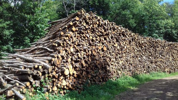 Site internet pour revendeur de combustible bois dans les Yvelines
