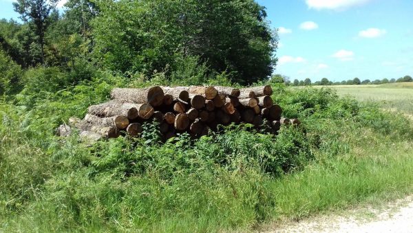 bois de chauffage 79Site internet pour revendeur de combustible bois dans l'Oise
