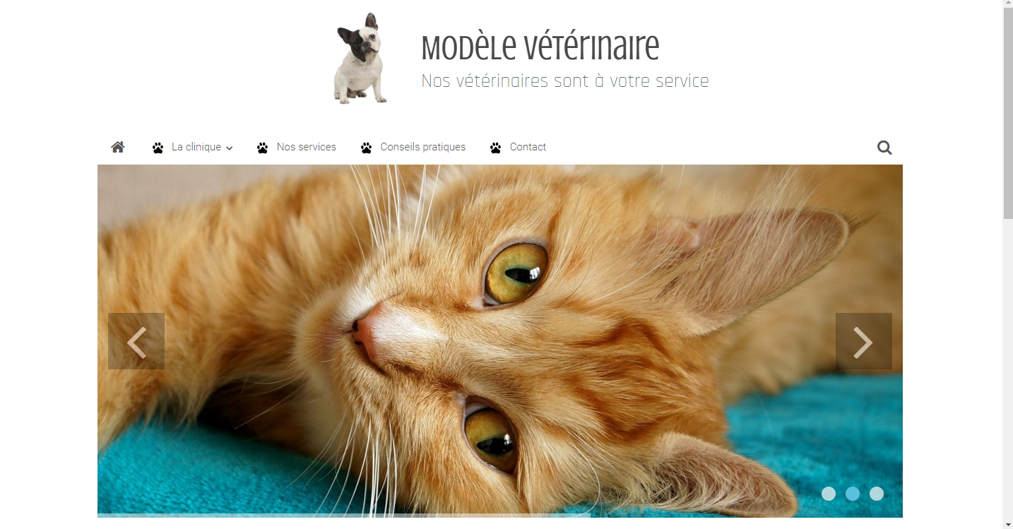 Site internet pour vétérinaireSite internet pour vétérinaire